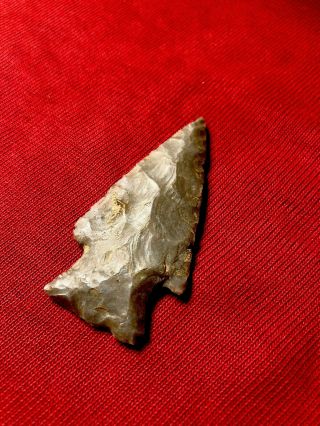 Authentic Bakers Creek Arrowhead from Lawrence County,  TN.  2 - 1/2” Long 2