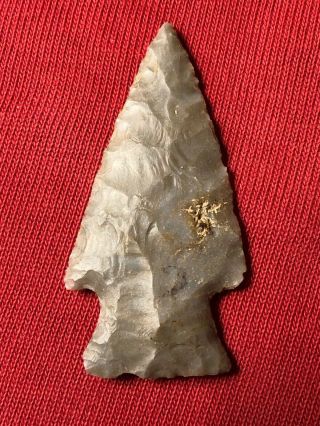 Authentic Bakers Creek Arrowhead from Lawrence County,  TN.  2 - 1/2” Long 3