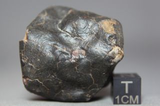 Nwa Unclassified Meteorite 121gram Individual Cut And Polished With Fusion Crust