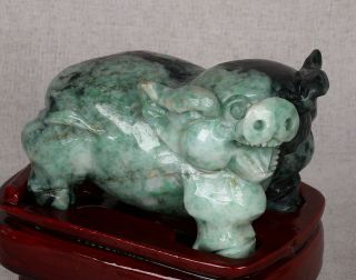 Certified 2 Color Natural Jade Jadeite Statue Sculpture Statue Pig 猪 R066142