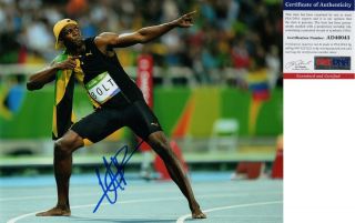 A Usain Bolt Signed 8x10 Photo Olympics Gold Medalist 7 Psa/dna