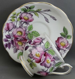 Royal Albert Teacup & Saucer - Flower Of The Month Series/dog Rose M Ii9