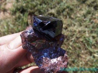 Intense Highly Lustrous Metallic Rutile Crystal On Matrix / Graves Mtn. ,  Ga