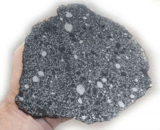 Meteorite Nwa 8741,  Mesosiderite A4,  Full Slice 280 Grams