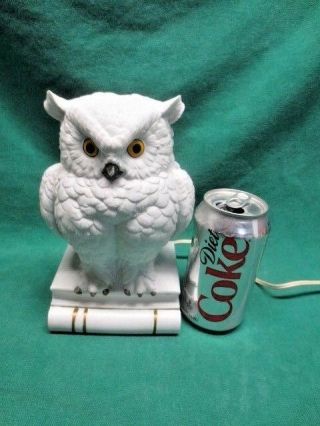 Large Vtg Bisque White Owl On Books Perfume Lamp Night Light Diffuser Figurine