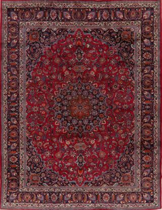 Floral Oriental Area Rug Wool Traditional Hand - Knotted Living Room Carpet 10x13