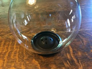 Vtg Display Glass Globe Ball 6 " Diameter Taxidermy