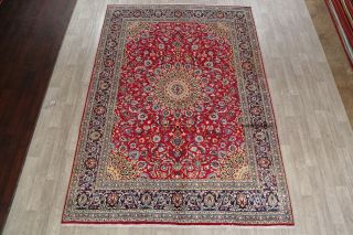 Traditional Floral Oriental Area Rug Wool Hand - Knotted Living Room Carpet 8 x 11 2