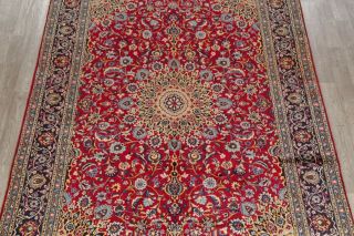 Traditional Floral Oriental Area Rug Wool Hand - Knotted Living Room Carpet 8 x 11 3