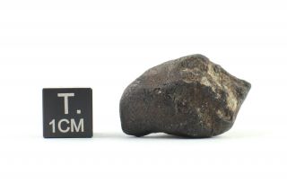 Vinales Meteorite (chondrite L6) - Complete Specimen - 9.  24 G