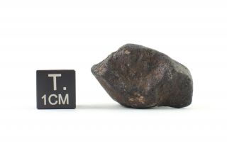 Vinales Meteorite (chondrite L6) - complete specimen - 9.  24 g 2