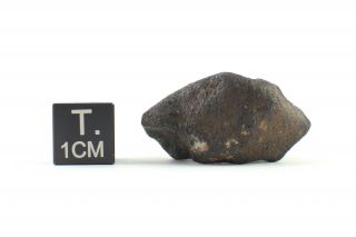 Vinales Meteorite (chondrite L6) - complete specimen - 9.  24 g 3