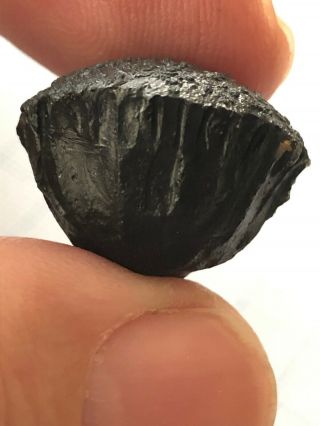 Australite 65: Australian Tektite From Meteorite Impact,  Awesome Bullet 7.  4g