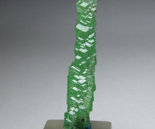 Remarkable Gem Elongated Tsavorite Garnet Crystal Tanzania