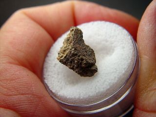 Great Deal Fragment W/ Crust Nwa 6963 Martian Shergottite Meteorite 1.  129 Gms