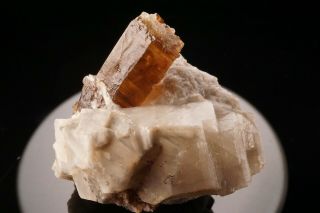 Gem Phlogopite Crystal On Calcite Nickle Quarry,  Franklin,  Nj - Ex Elling
