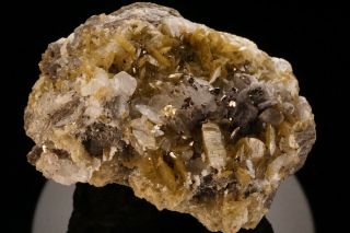 Extraordinary Native Gold Crystal Siderite Calcite Pyrrhotite Morro Velho Brazil
