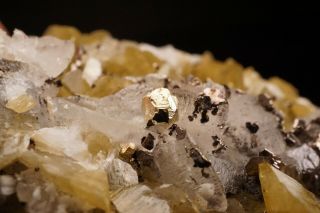 EXTRAORDINARY Native Gold Crystal Siderite Calcite Pyrrhotite MORRO VELHO BRAZIL 3