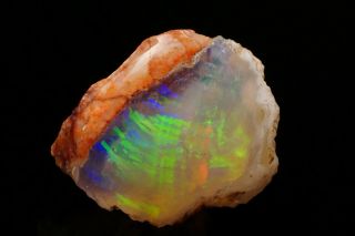 INCREDIBLE UNIQUE Gem Precious Opal after Petrified Wood VIRGIN VALLEY,  NEVADA 2