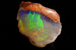 INCREDIBLE UNIQUE Gem Precious Opal after Petrified Wood VIRGIN VALLEY,  NEVADA 3