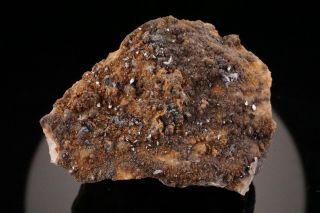 Very Rare Fuloppite Crystal Cluster Dealul Crucci,  Romania - Ex.  Fulopp Etc
