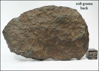 Aba Panu - L3 Meteorite Fall from Nigeria - 108 Gram Endcut 2