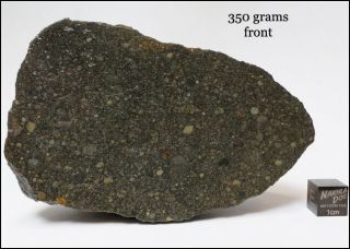 Aba Panu - L3 Meteorite Fall From Nigeria - 350 Gram Endcut