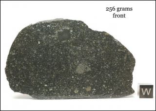 Aba Panu - L3 Meteorite Fall From Nigeria - 256 Gram Endcut