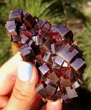 Wow Lustrous Black Cherry Red Vanadinite Crystals On Matrix From Morocco (: (: