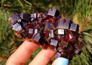 WOW Lustrous Black Cherry Red Vanadinite Crystals On Matrix From Morocco (: (: 3