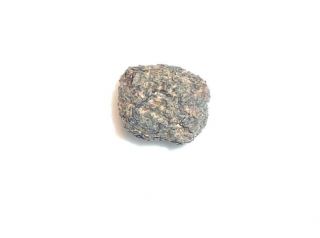 RARE NWA 10720 Nakhlite MARTIAN meteorite,  fragment,  0.  45 grams 2