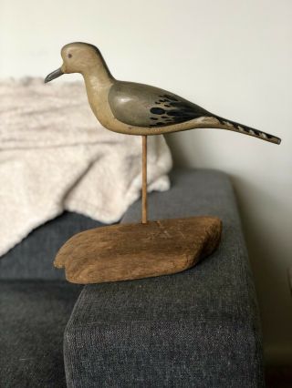 Capt Jimmy Wright Massey Md Hand Carved Dove Decoy