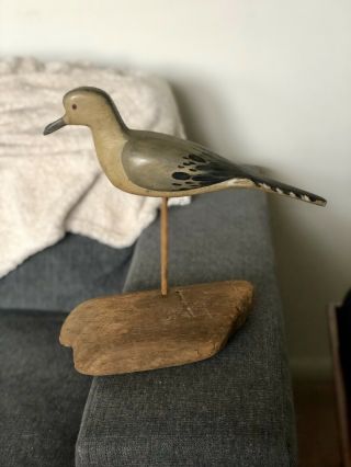 Capt Jimmy Wright Massey Md Hand Carved Dove Decoy 2