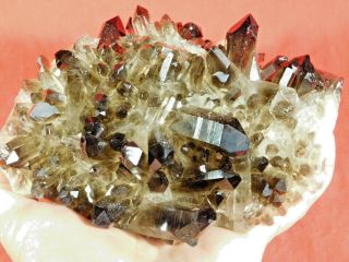 Dozens Of Points On This Big Smoky Quartz Crystal Cluster From Brazil 1225gr E
