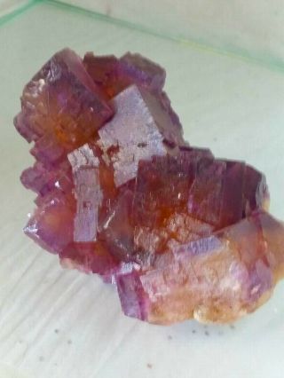 Fluorite Cluster Deep Purple And Yellow Cubic Crystals Denton Mine