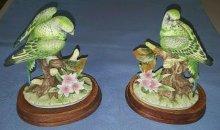 Collectible Andrea By Sadek Porcelain Bird Figurine - Parakeet Set Of 2