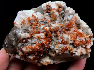 321g Natural Fanta Spessartine Garnets Mica Smoky Quartz Crystal Specimen Fujian