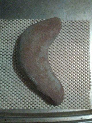 Neolithic Crescent Knife Native American Indian Stone Tool Oregon Willamette Val