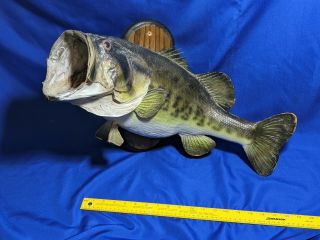 Large Wide Mouth Bass Fish Trophy Mount Taxidermy Vtg Wood Plaque 22x12x9