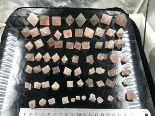 70pcs Rare Pink Octahedron Fluorite From Inner Mongolia