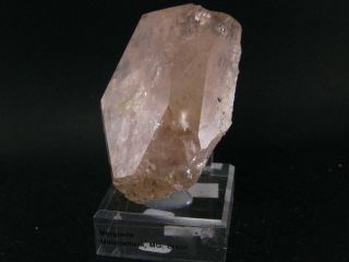 Huge Pink Morganite Beryl Crystal From Brazil - 3.  2 "