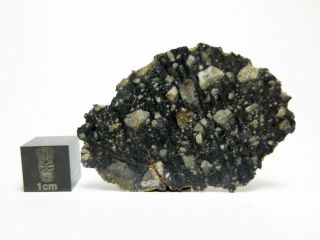 NWA 11421 1.  91g Feldspathic Breccia Lunar Meteorite Moon Full Slice 2