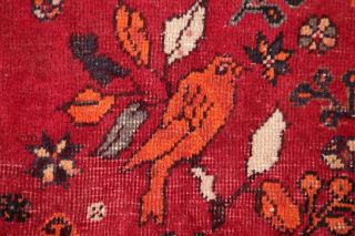 Antique Geometric Tribal Abadeh Area Rug Hand - Made Bird Design Oriental 5 