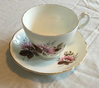 Royal Ascot Bone China England Tea Cup And Saucer Vintage Echinacea & Fern