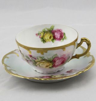 Royal Munich Bavaria Hand Painted Rose Marseilles Pattern Cup & Saucer Zs&co
