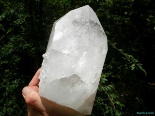 Huge CLEAR Arkansas Quartz Crystal Point_ 721_Optical Clear_7.  12 LBS 3