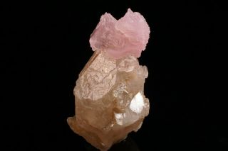 Unique Rose Quartz Crystal On Quartz Pitorra Claim,  Brazil