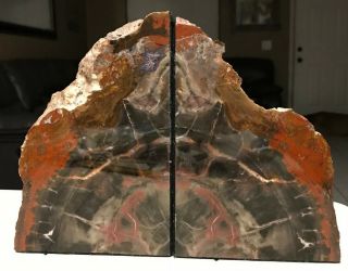 Rainbow Petrified Wood Bookends Polished Felted 7.  5 Pounds Lightning Strike Red