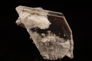 Gem Selenite Crystal With Pyrite Naica,  Mexico - Ex.  Nikischer