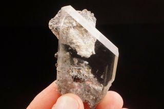 Gem Selenite Crystal with Pyrite NAICA,  MEXICO - Ex.  Nikischer 2